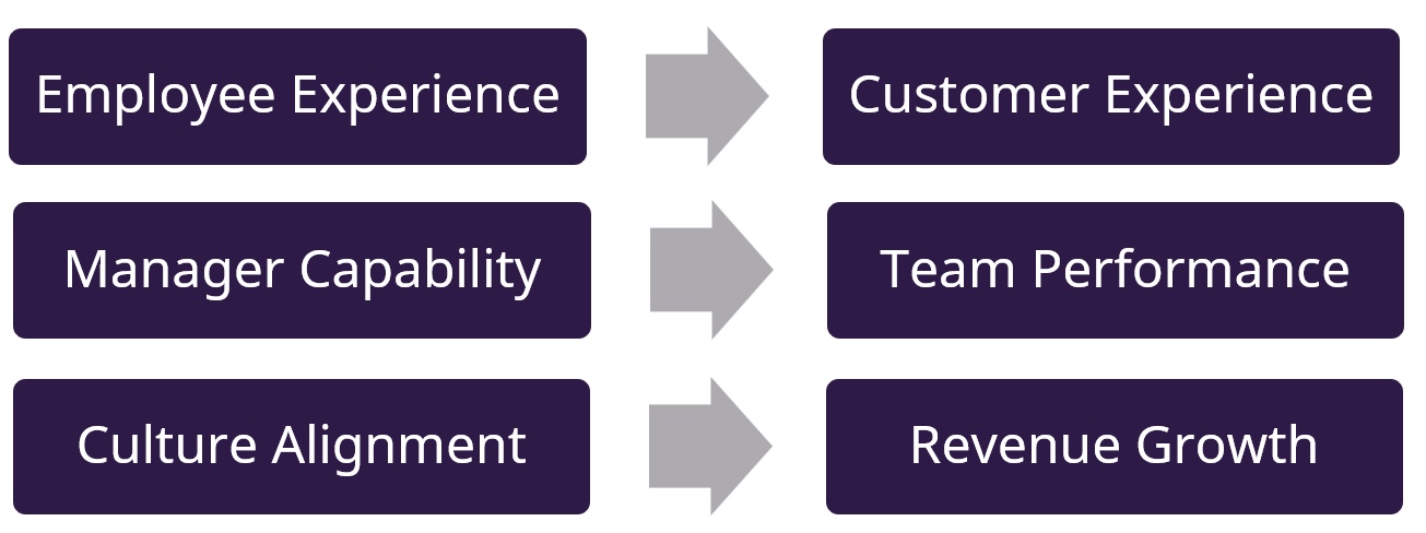 Showing the HR Revenue Chain. A clear, strategic link between People, Performance, and Profit. Employee experience affects the customer experience. Manager capability affects team performance. Culture alignment affects revenue growth